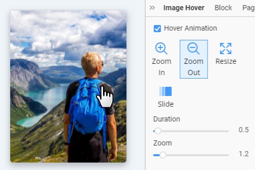How to use the Zoom-Out Animation while hovering the image backgrounds