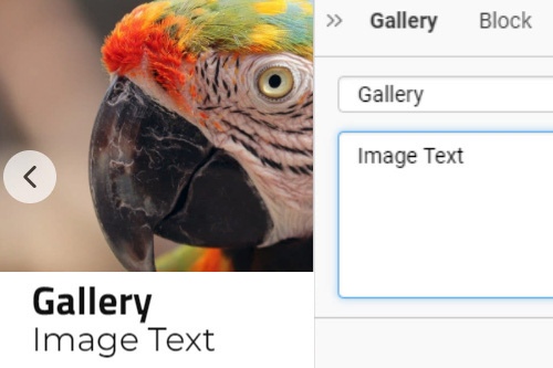 How to add texts to the Gallery images