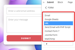 Contact Form Submit Options