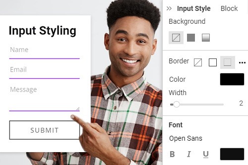 How to modify the look of the Form Input Fields