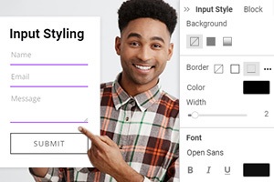 Form Input Styling