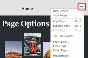 Opzioni di pagina nell'editor