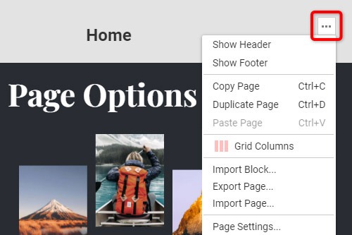 Page Options In Editor