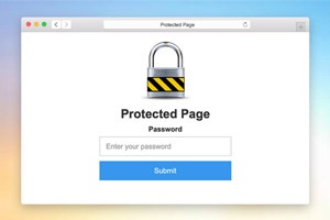 Page Password Protection