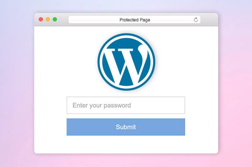How to use the Page Password Protection in WordPress