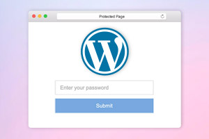 Page Password Protection In WordPress