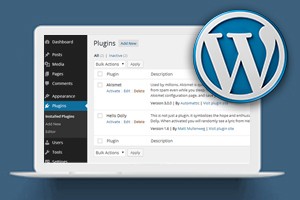 Plug-in WordPress