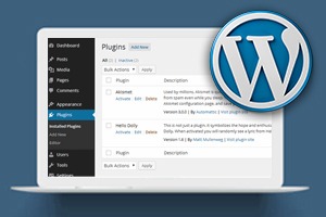 Plug-in WordPress