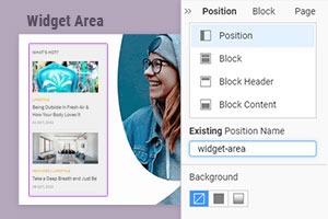 Widget Area and Position