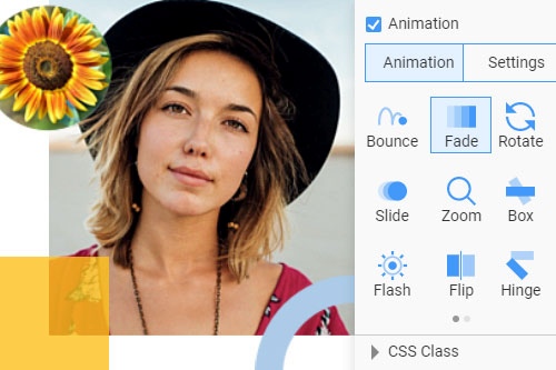 How to use the Animation Effects on websites Website Builder