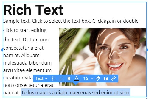 How to use the Rich Text element to make the long-read web pages